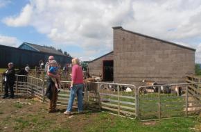 Open Farm Day