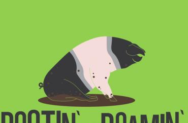 rootin' and roaming